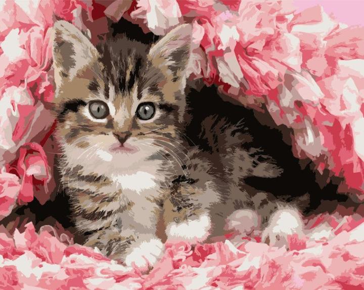 Image du produit Figured'Art Peinture par Numéros avec cadre - Chaton enrobé