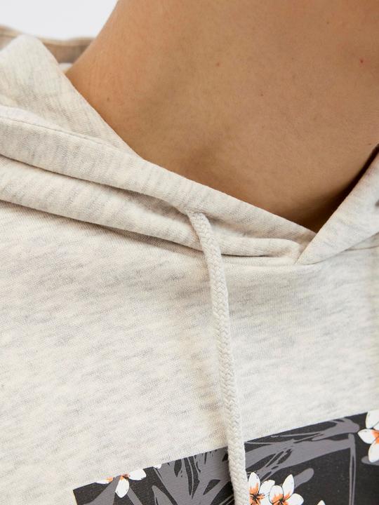 Actual product image Jack & Jones Logo hooded jumper Hooded jumper (XS)