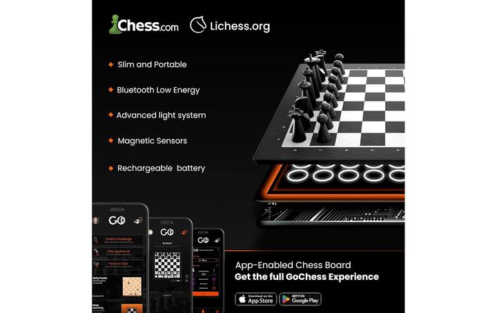 Actual product image Particula GoChess Mini