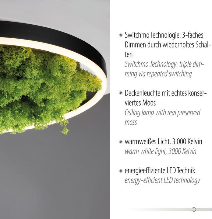Produktbild Leuchten Direkt Green Ritus (2650 lm)