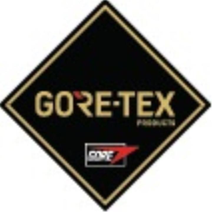 Actual product image Lowa Renegade Work II S3 GTX LO (S3, 41)