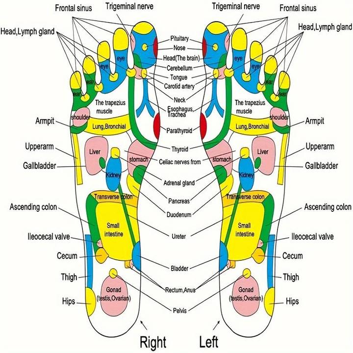 Nutritional values and ingredients PhoneLook Foot acupressure mat