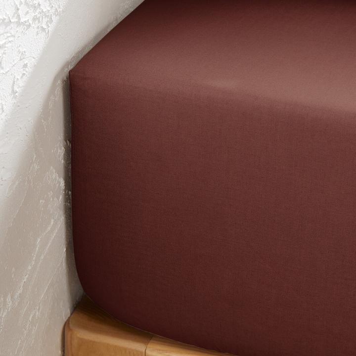 Actual product image La Redoute Interieurs Scenario Coton (80 x 200 cm)