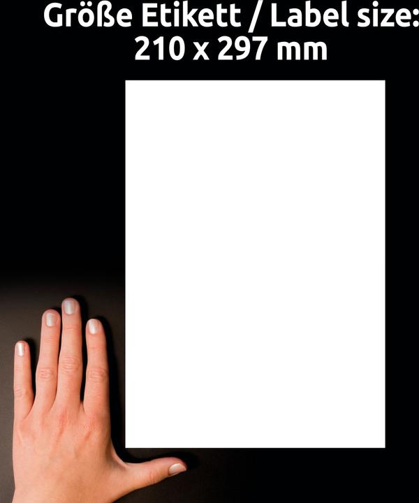 Actual product image Avery AVZ L8001-10 Antimicrobial labels 210x297mm weiss