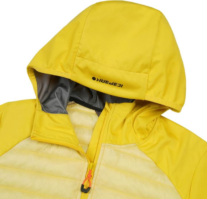 Immagine prodotto Icepeak Deerton (40)