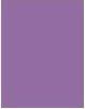 Actual product image Rimmel London Kind & Free Clean Eye Definer (03 Grape)