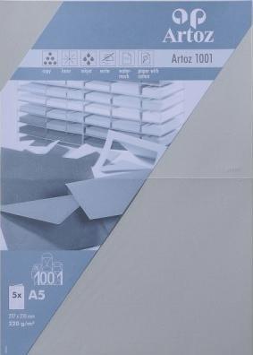 Produktbild Artoz 1001 Karten lichtgrau (A5, 220 g/m², 5 x)
