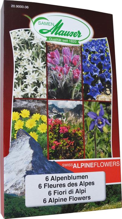 Actual product image Samen Mauser Swiss Alpine Flowers (Flower seeds)