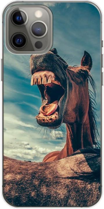 Lustiges Pferd
