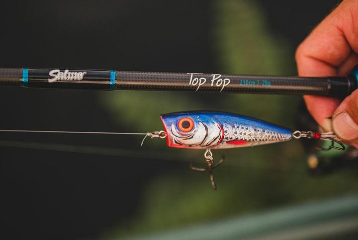 Image du produit Salmo Top Top (Canne à lancer, 210 cm)