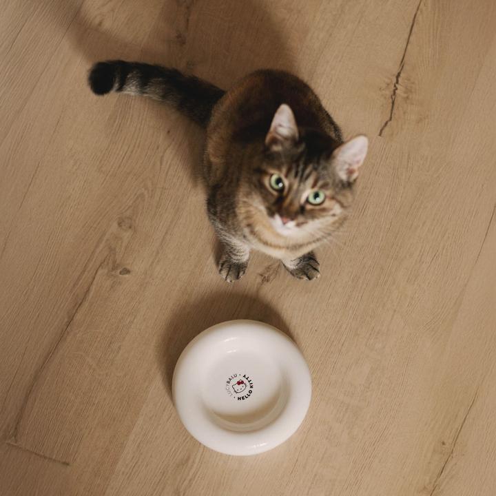Immagine prodotto LucyBalu DROP Katzennapf - Hello Kitty Edition