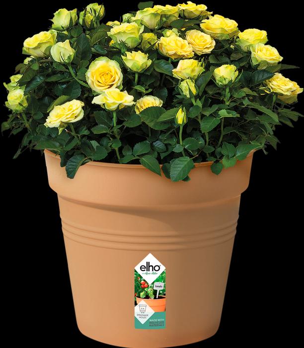 Actual product image Elho Green Basic (40 cm)