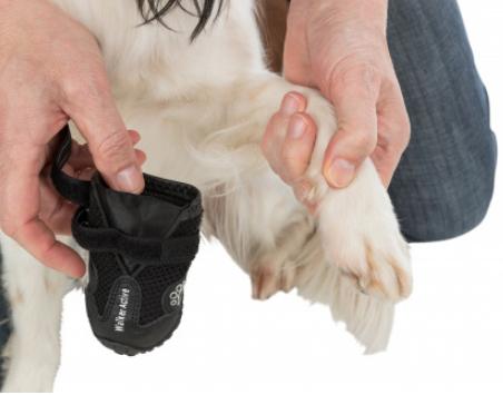 Actual product image Trixie Paw protector Walker Active Gr.L (L, Dog boots)