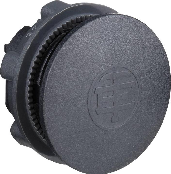 Actual product image Schneider Electric Blind plug 22mm black