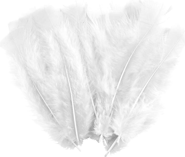Produktbild Natura Punto 35 weiche Bastelfedern, weiss, Länge 17 cm