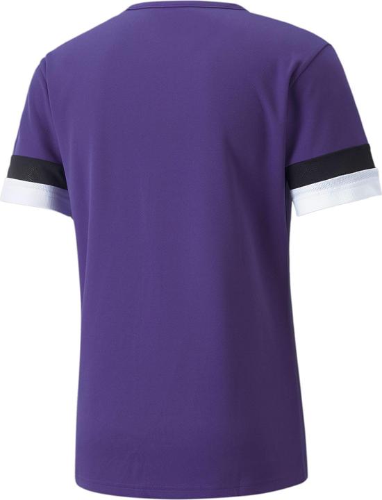 Actual product image Puma teamRISE Jersey-704932 (L)