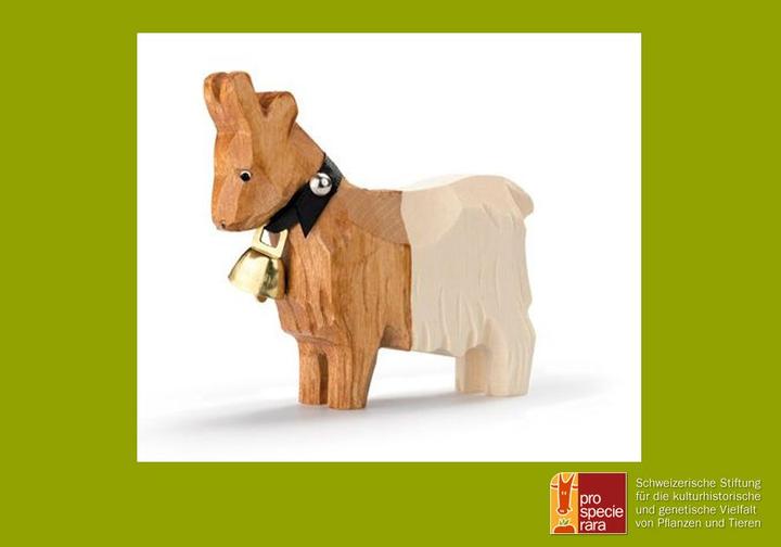 Actual product image Trauffer Copper-necked goat