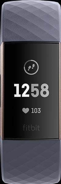 Image du produit Fitbit Charge 3 (28.80 mm)