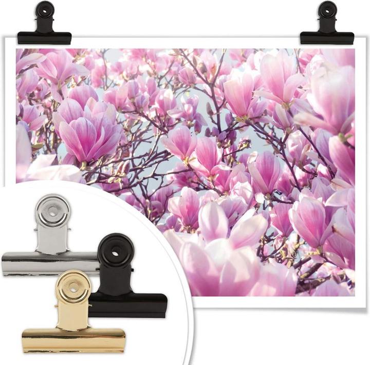 Image du produit Trenddeko Magnolia (30 x 24 cm)
