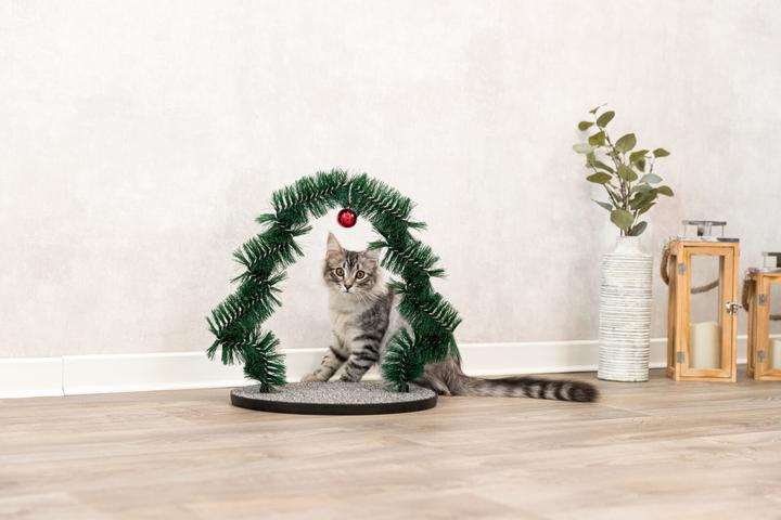 Immagine prodotto Trixie Massaggio natalizio e scheda per la cura del pelo (Gatto)