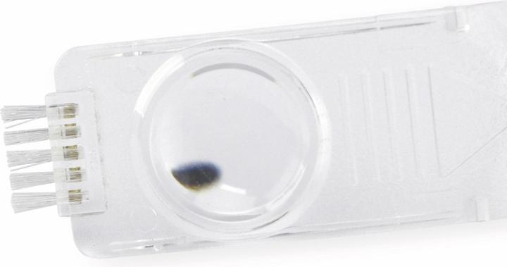 Actual product image Scala Electric lice comb