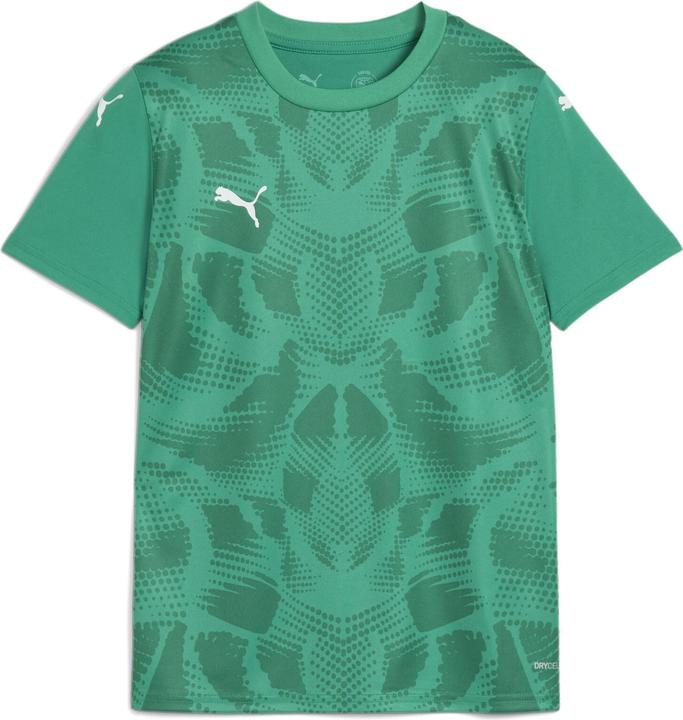 Puma teamULTIMATE Jersey Jr (152)