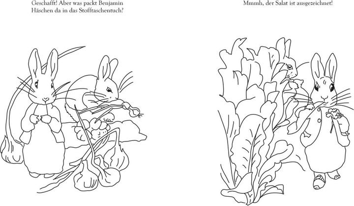 Image du produit Le grand livre à colorier Peter Rabbit