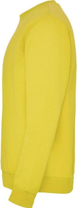 Image du produit Alpinia - Sweat CLASICA - Adulte (3XL)