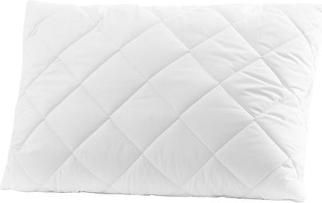Productafbeelding Masterjero KUSSEN 50X70 DAIGSTYTA 500G (100 x 50 x 70 cm)