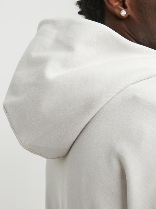 Image du produit Jack & Jones Sweat à capuche (XL)