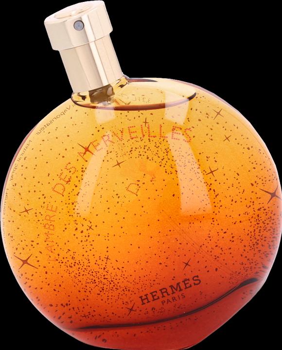 Image du produit Hermès Eau de Parfum 2021 (Eau de parfum, 100 ml)