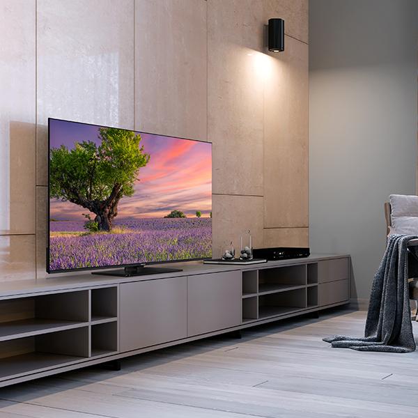 Produktbild Panasonic TB-50W60AEZ (50", LCD, 4K, 2024)