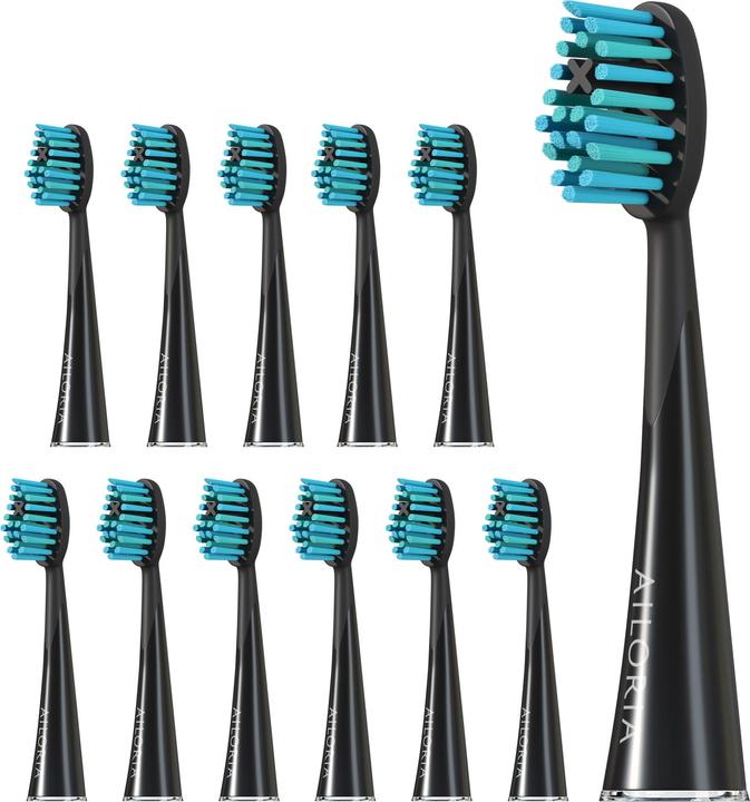 Actual product image Ailoria Shine Bright (12 x)