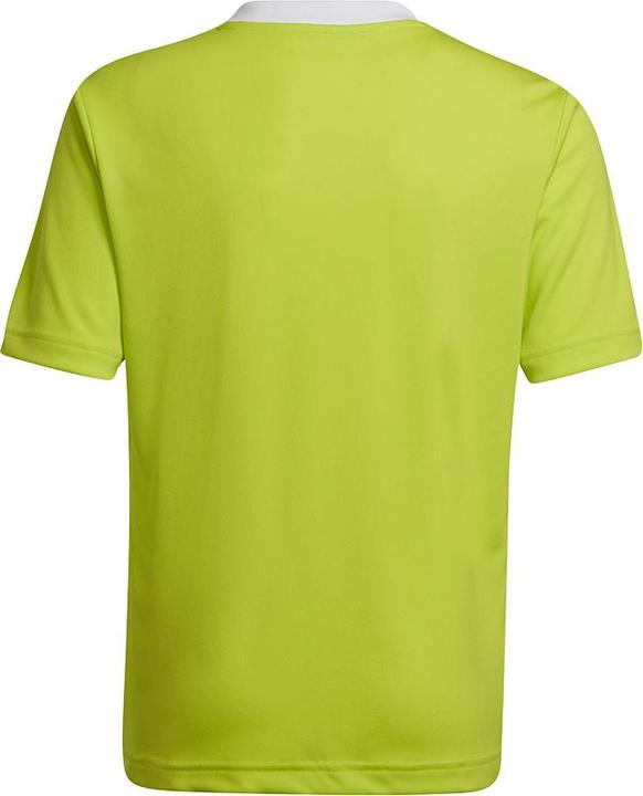 Actual product image adidas Entrada 22 Football Shirt Kids (152)