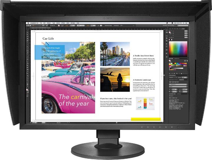 Eizo CG2420 ColorEdge (1920 x 1200 pixels, 24")