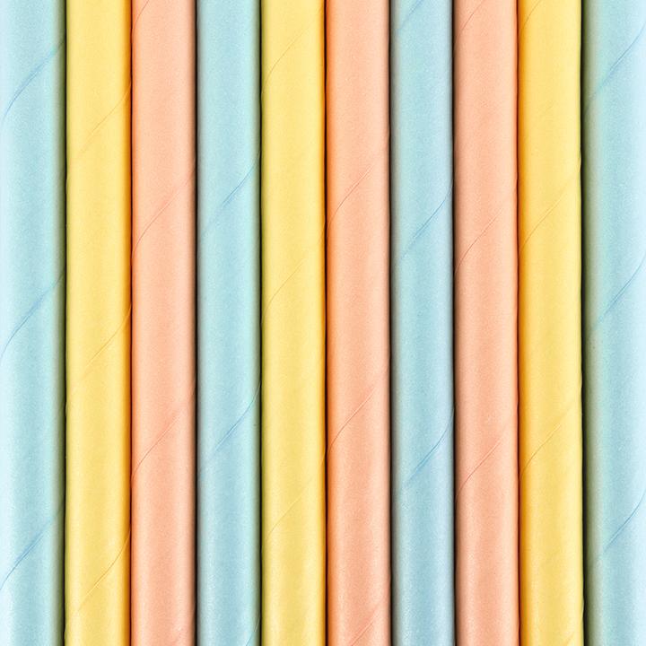 Image du produit Partydeco Pailles en papier Summer time (10 pcs) (10 x)