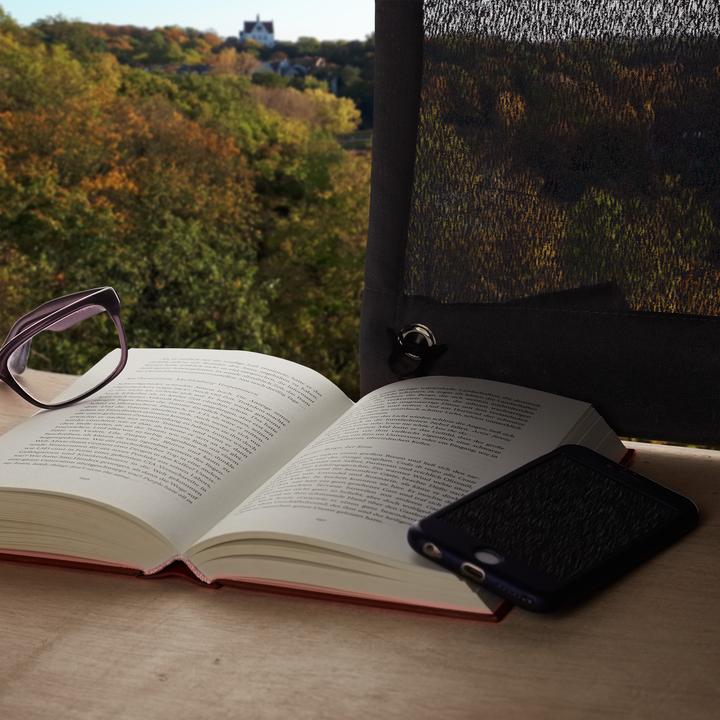 Image du produit Relaxdays Pare soleil (100 x 60 x 0.2 cm)