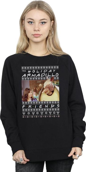 Image du produit Friends - Sweat FAIR ISLE HOLIDAY ARMADILLO - Femme (L)