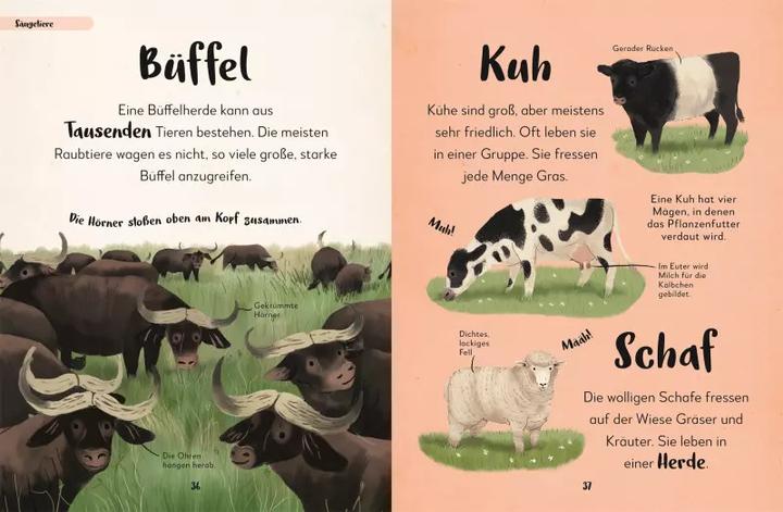 Produktbild Mein liebstes Buch der Tiere (Deutsch, Eva Sixt, 2022)