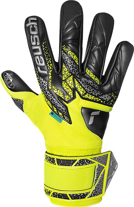 Produktbild Reusch Attrakt Gold X NC (7.5)