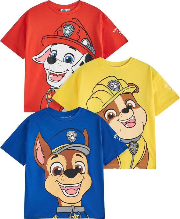 Paw Patrol Jungen (116)