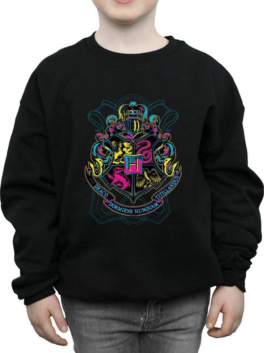 Actual product image Boys Neon Hogwarts Crest Sweatshirt (140, 146)
