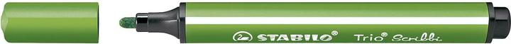 Image du produit STABILO Trio Scribbi Stylo-feutre triangulaire à ressort (Green, 1 x)