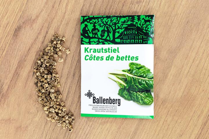 Actual product image Zollinger Bio Krautstiel, Geneva (Ballenberg Edition) (Seedlings)