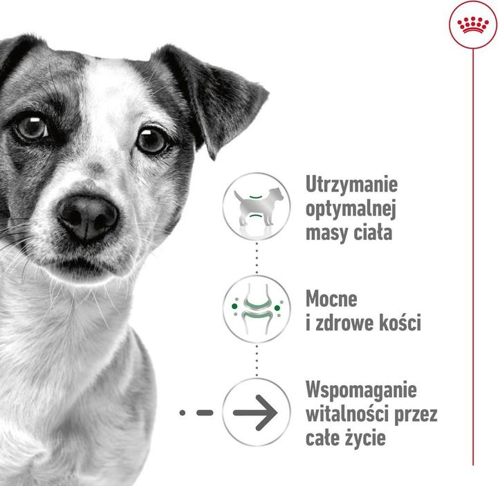 Actual product image Royal Canin Adult dry food (Senior, 1 pcs., 3500 g)
