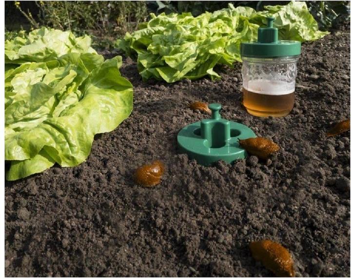 Produktbild Windhager Schneckenfallen