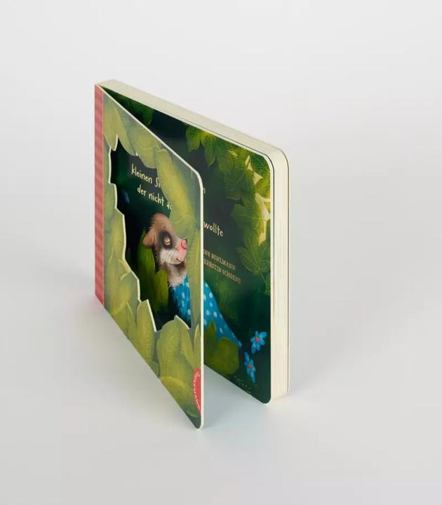 Actual product image Der kleine Siebenschläfer (German, Sabine Bohlmann, Kerstin Schoene, 2019)