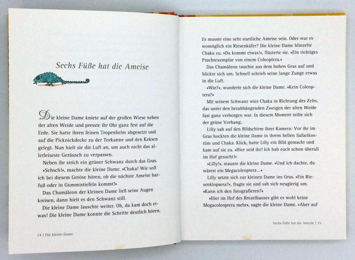 Actual product image The little lady on Salafari (Stefanie Taschinski, Nina Dulleck, German)