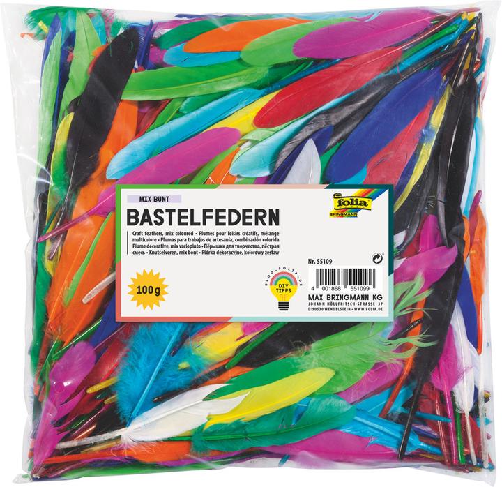 Produktbild Folia Indianerfedern, 100 g, farbig sortiert