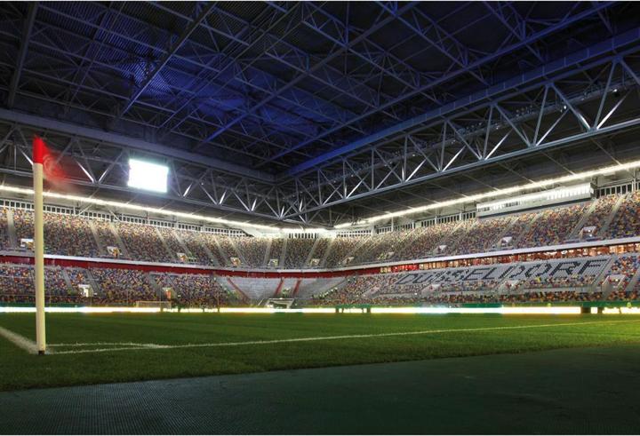 Immagine prodotto Fortuna Düsseldorf La felicità ti si addice (384 x 260 cm)
